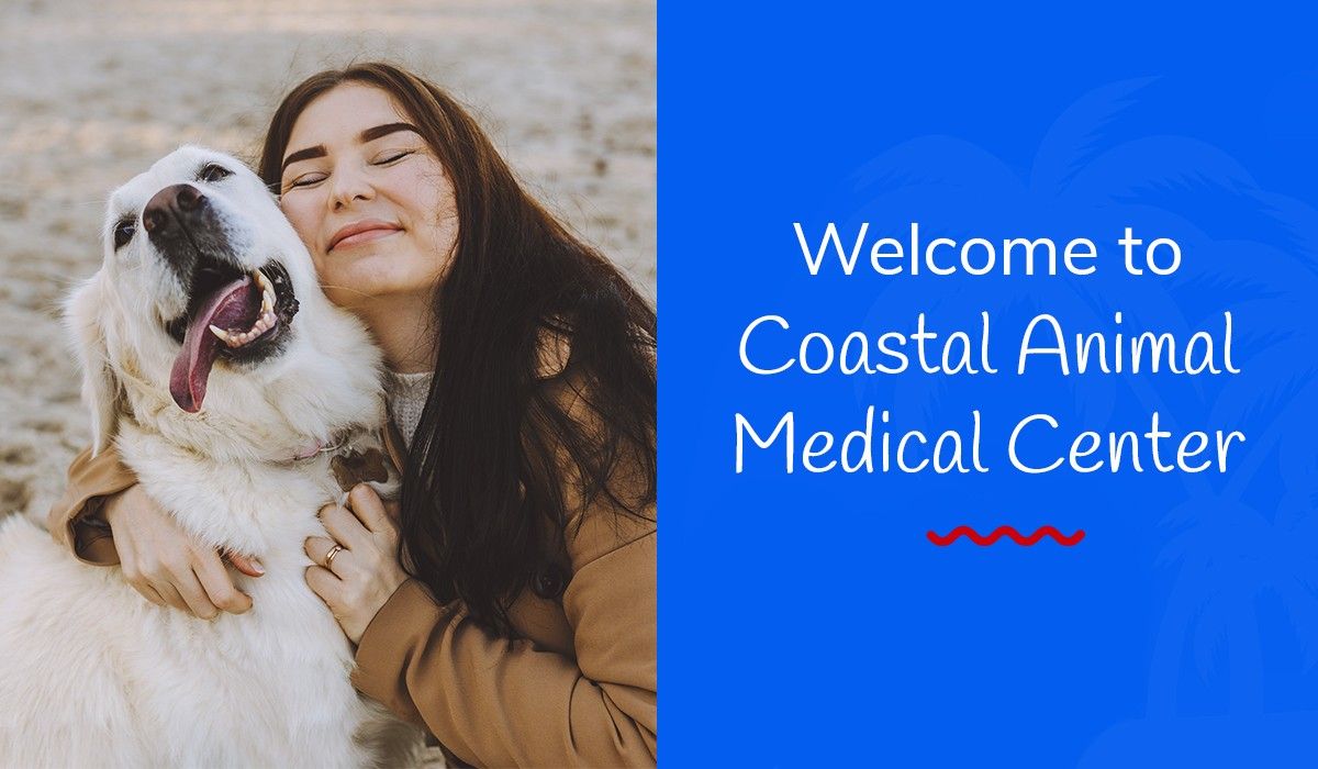 Welcome to Coastal Animal Medical Center!